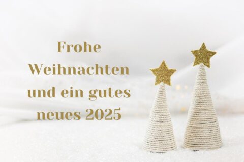 Zum Artikel "Frohe Weihnachten und die besten Wünsche für 2025"